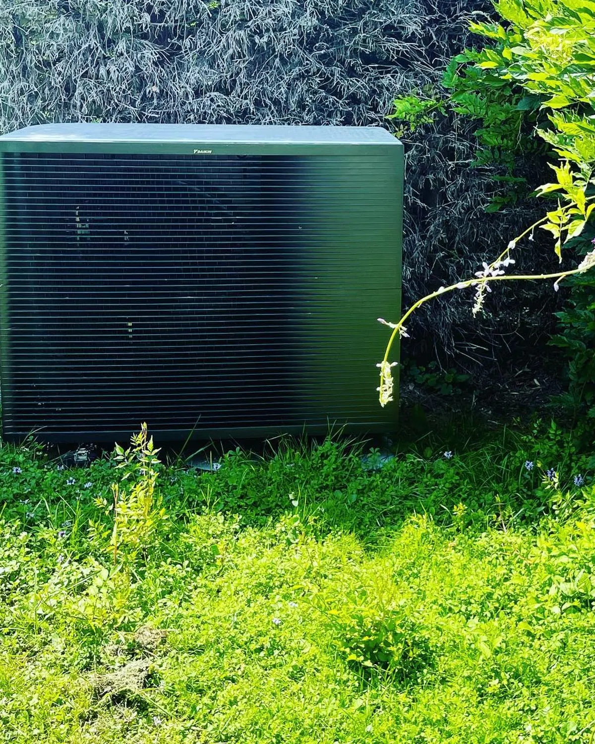 Unité extérieure de pompe à chaleur Daikin installée dans un jardin